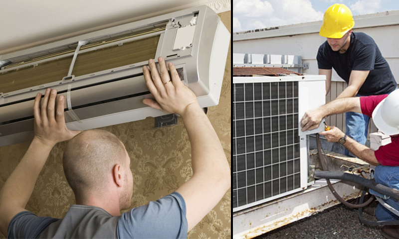 More Info About This Photo